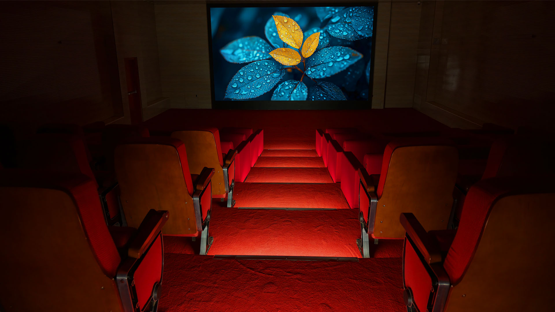 Movie Theatre - Image 3